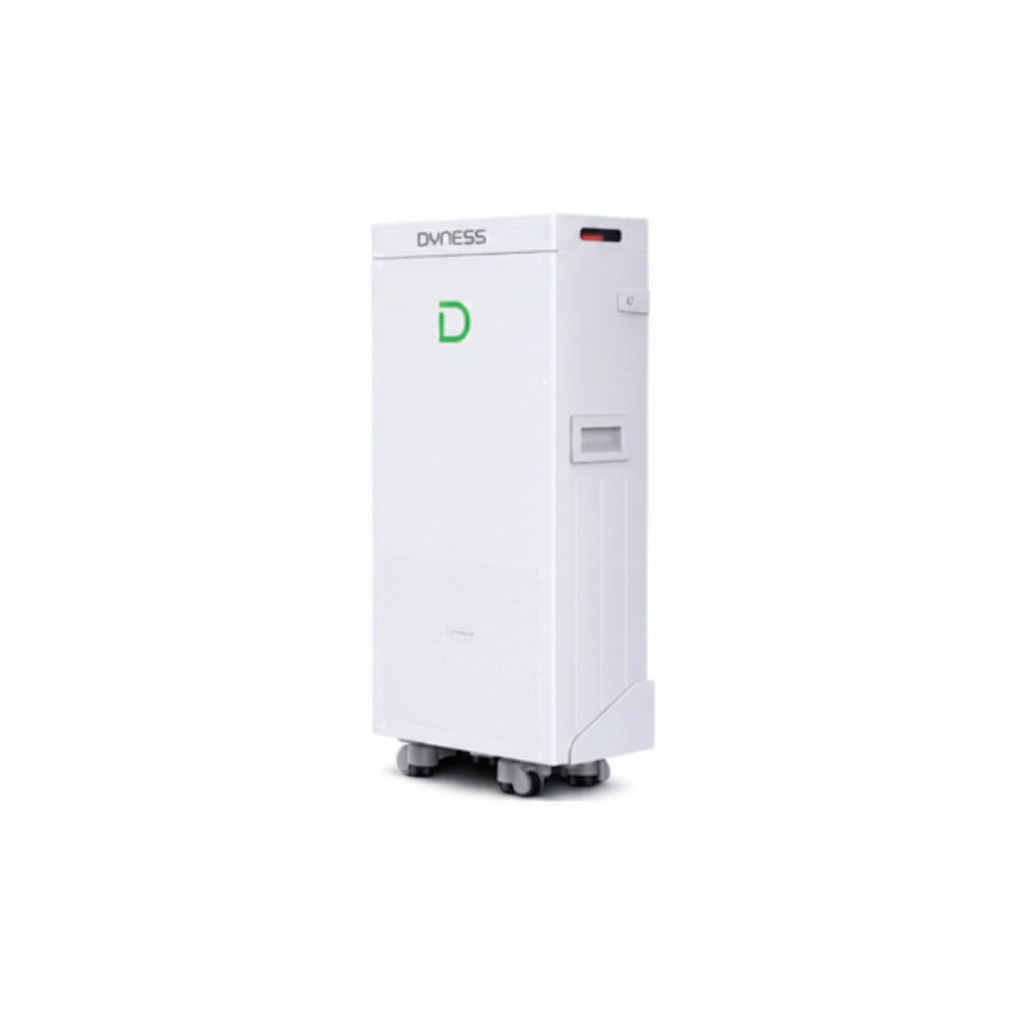 DYNESS 51.2V 314AH LITHIUM BATTERY